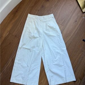 Banana Republic Pleated Wide-Leg Crop Poplin Pant